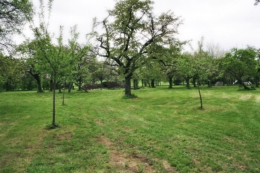 Treffen2010 (31)_jpg_jpg