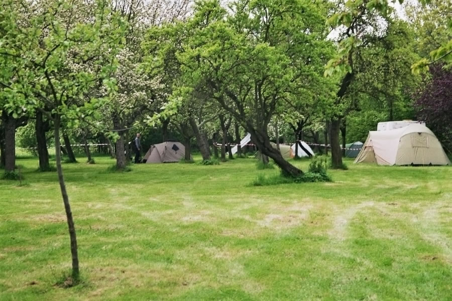 Treffen2010 (42)_jpg_jpg